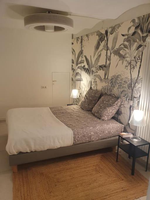 Appartement Californie, Winter Palace, A 2 Pas De La Rue D'antibes Et Des Plages De La Croisette