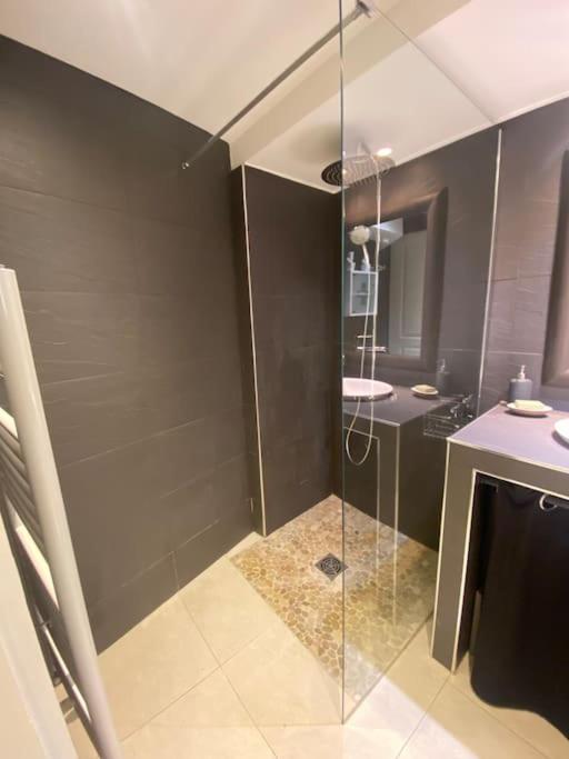 Californie, Winter Palace, A 2 Pas De La Rue D'antibes Et Des Plages De La Croisette Appartement *